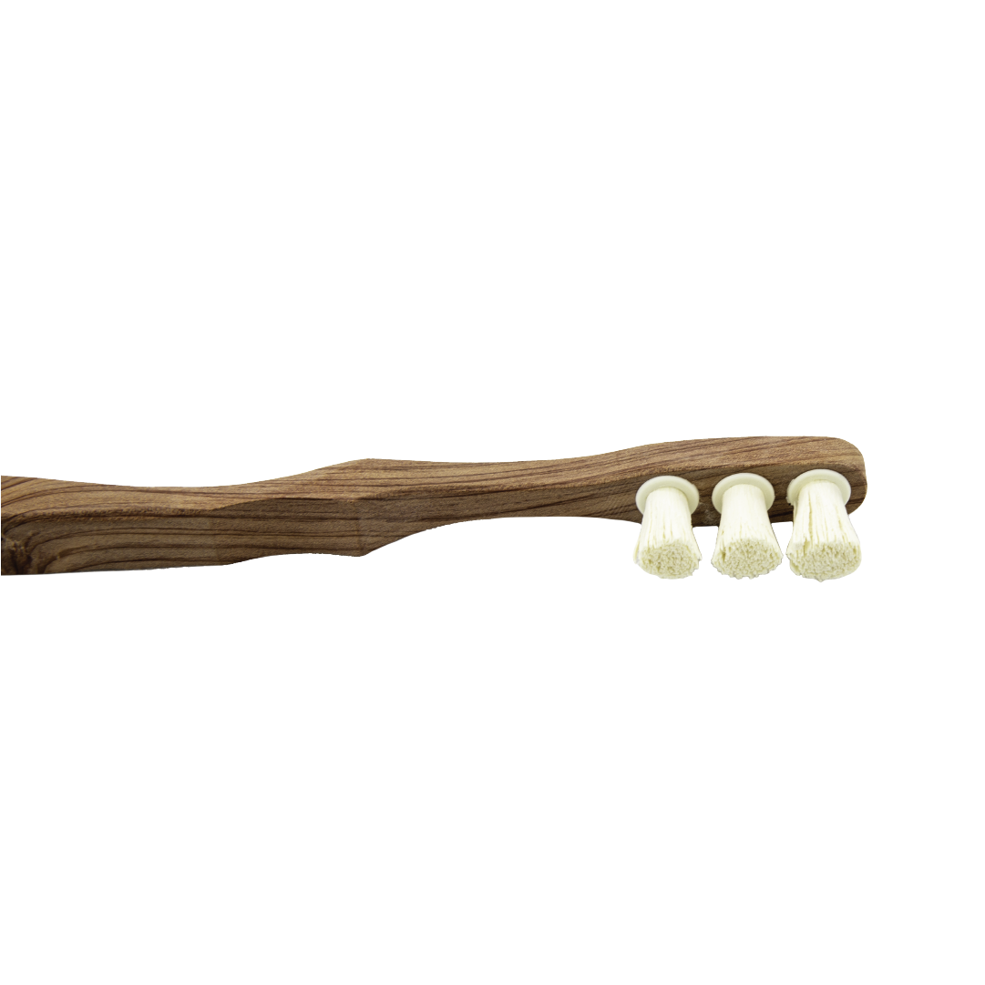Toothwak Luxury Model
